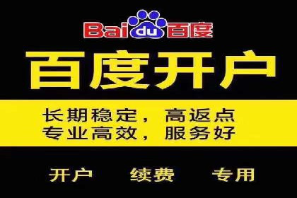 案例分享：百度运营推广助力企业打造行业领先地位
